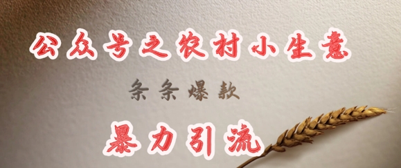 deepseek写农村小项目,条条爆款,暴力引流-优优网创